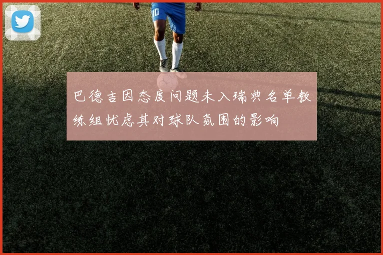 巴德吉因态度问题未入瑞典名单教练组忧虑其对球队氛围的影响